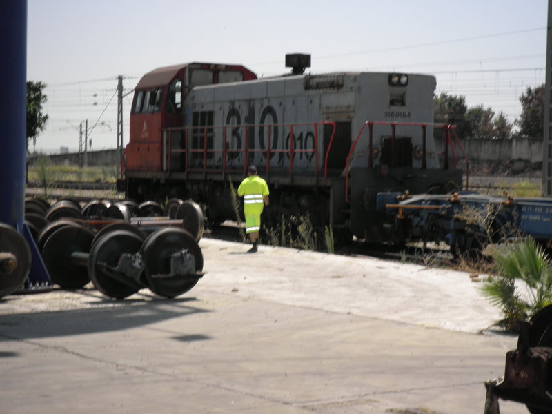 P7042250.JPG
