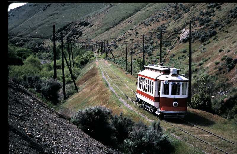 19294257.jpg
