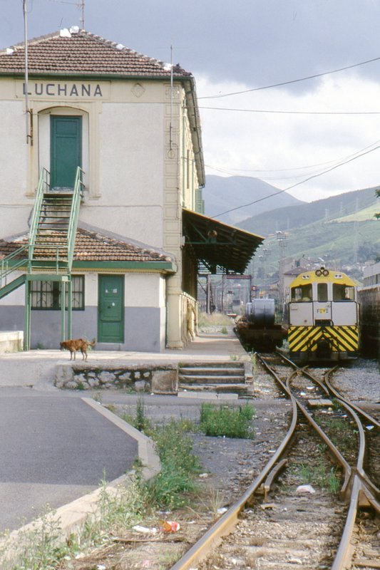 img436.jpg