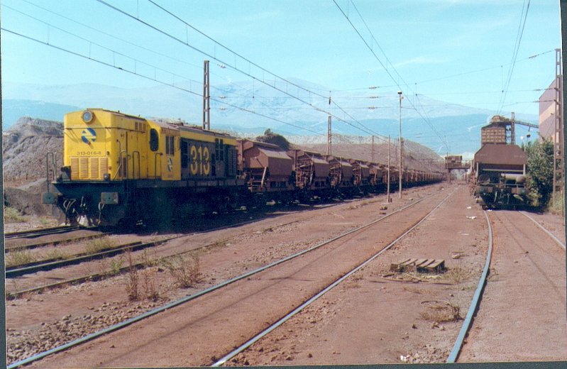 313-016-8_con_tren_portaminerales_en_Minas_del_Marquesado,_verano_1993.jpg