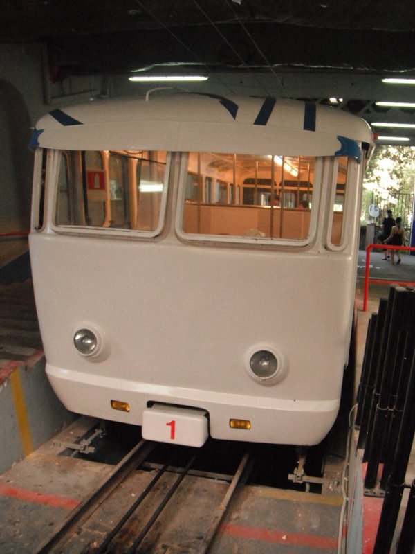 DSCF0571.JPG