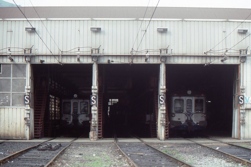 img269.jpg