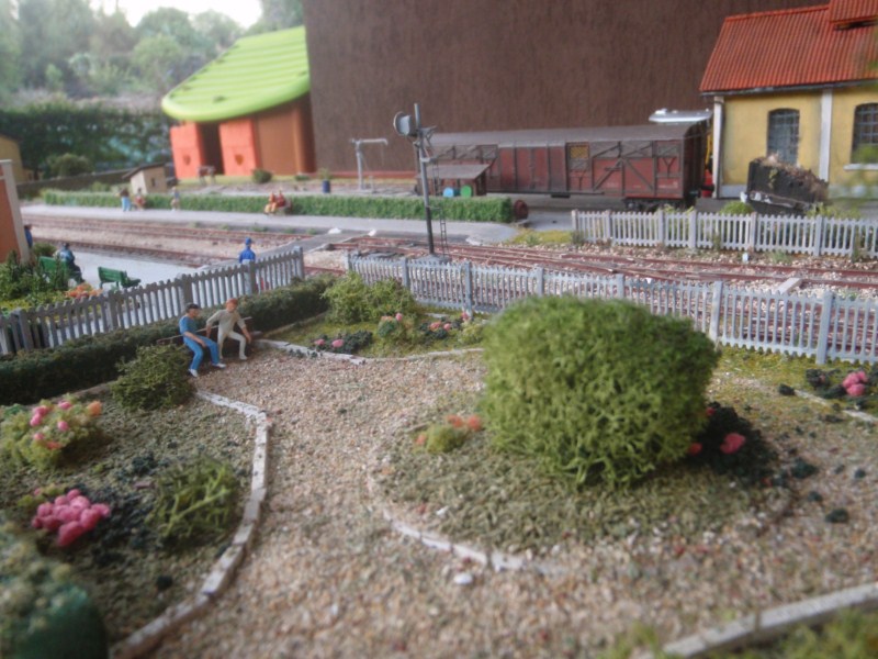 P7180119.JPG