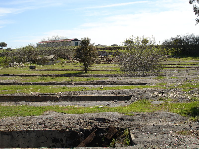 DSC00800.JPG