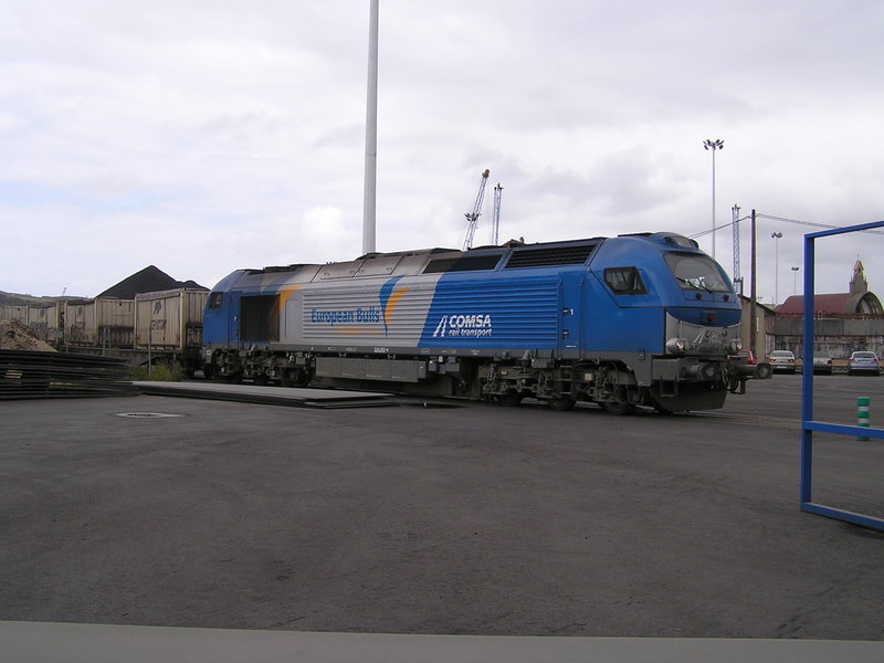 P1010030.JPG