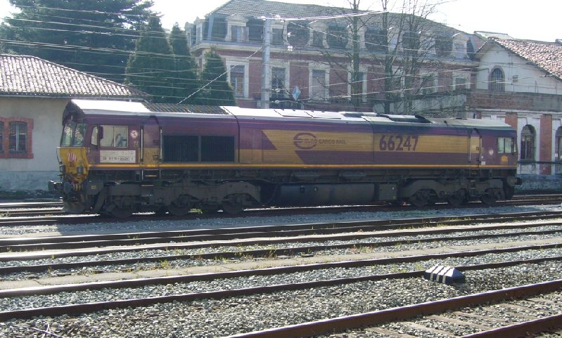 66247.JPG