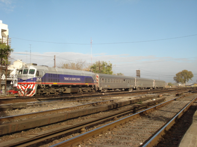 319_214%20en%20Haedo%2019-05-10%20(1).jpg