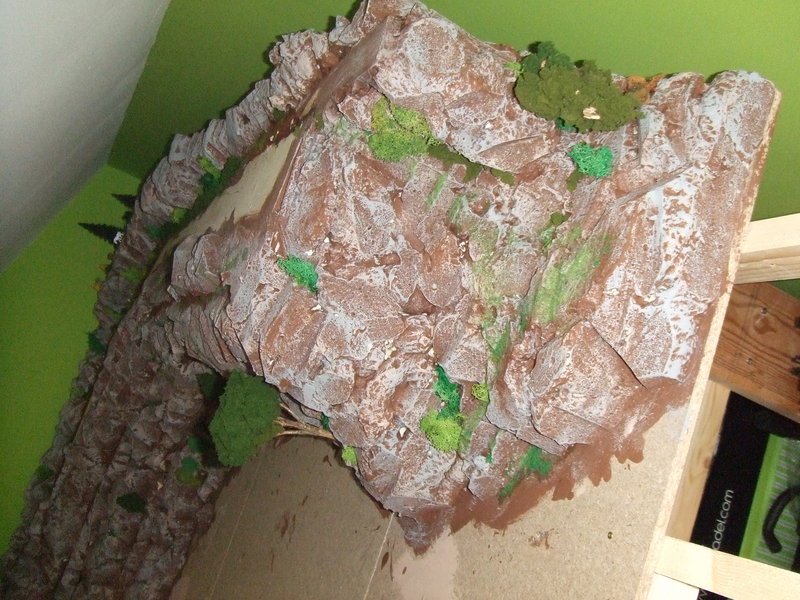 DSCF2437.JPG