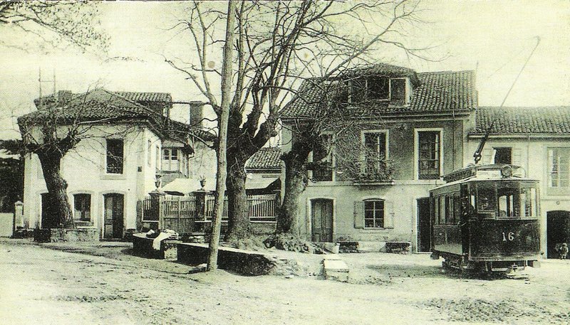 6516.jpg