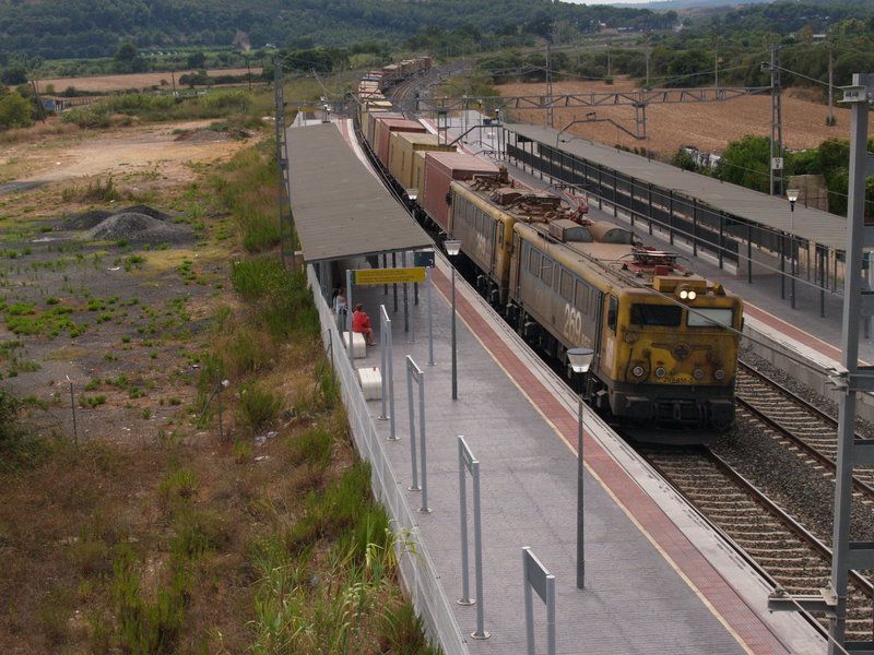 269-855 CON UN TECO AL PASO POR ALTAFULLA.JPG