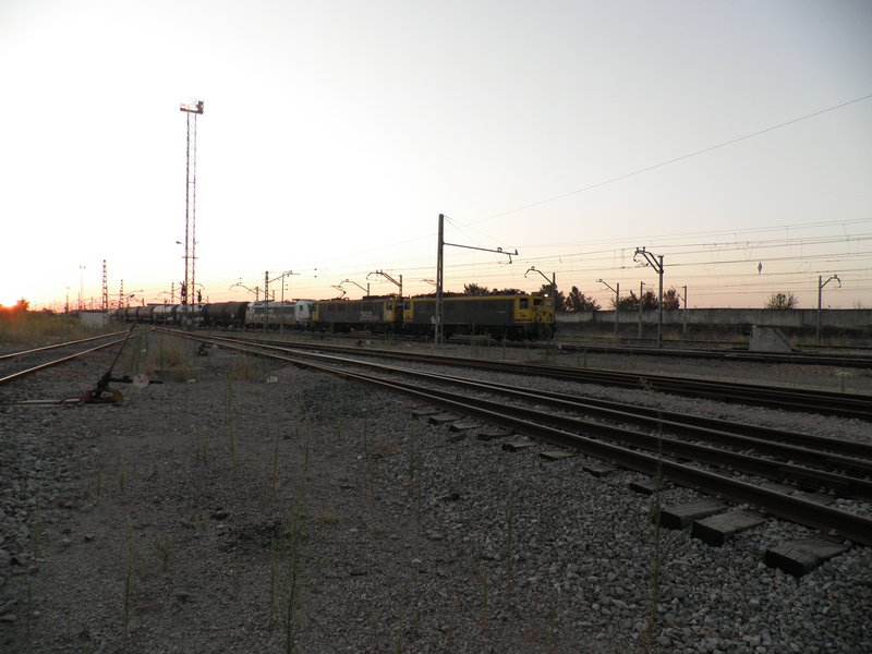 P7262309.JPG