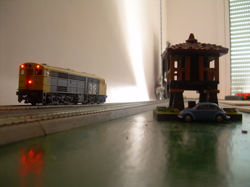 DSCN0518.JPG