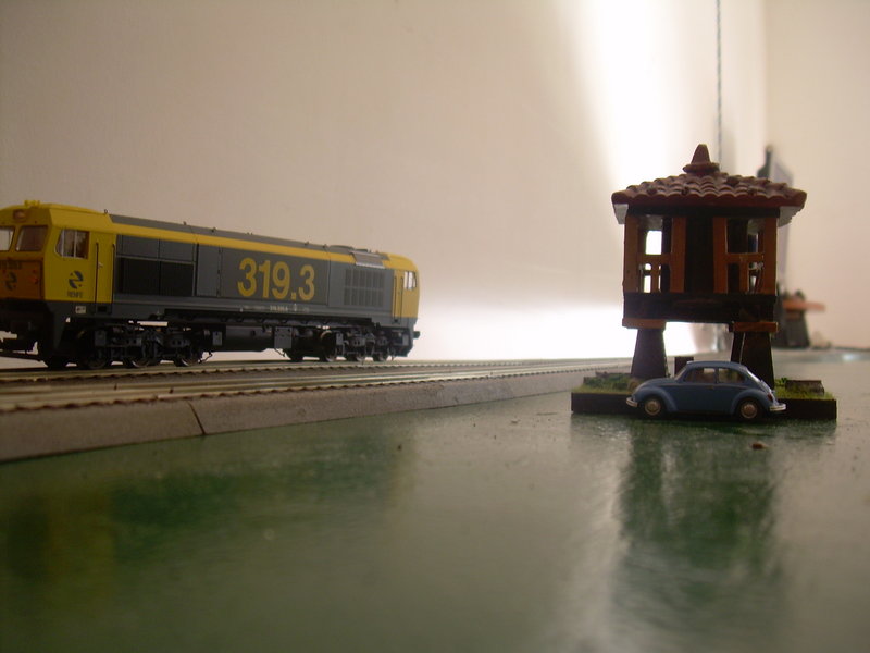 DSCN0498.JPG