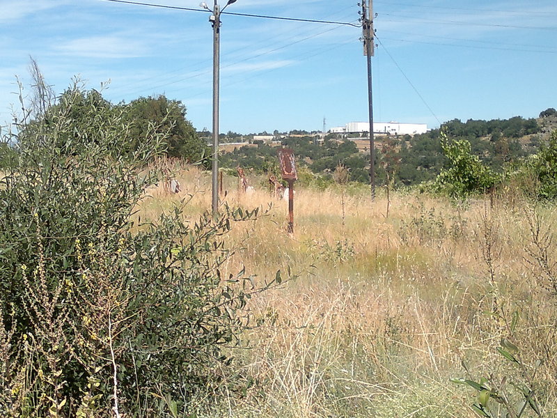 07082011259.jpg