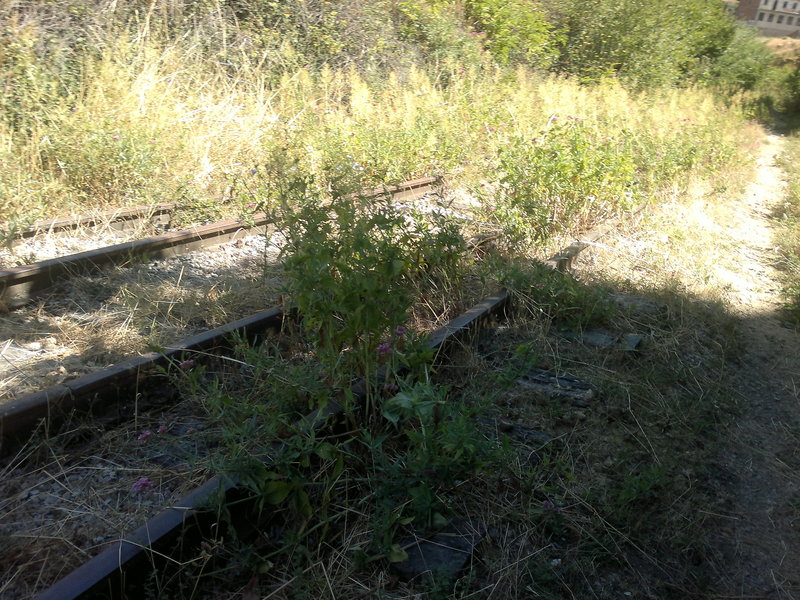 07082011274.jpg