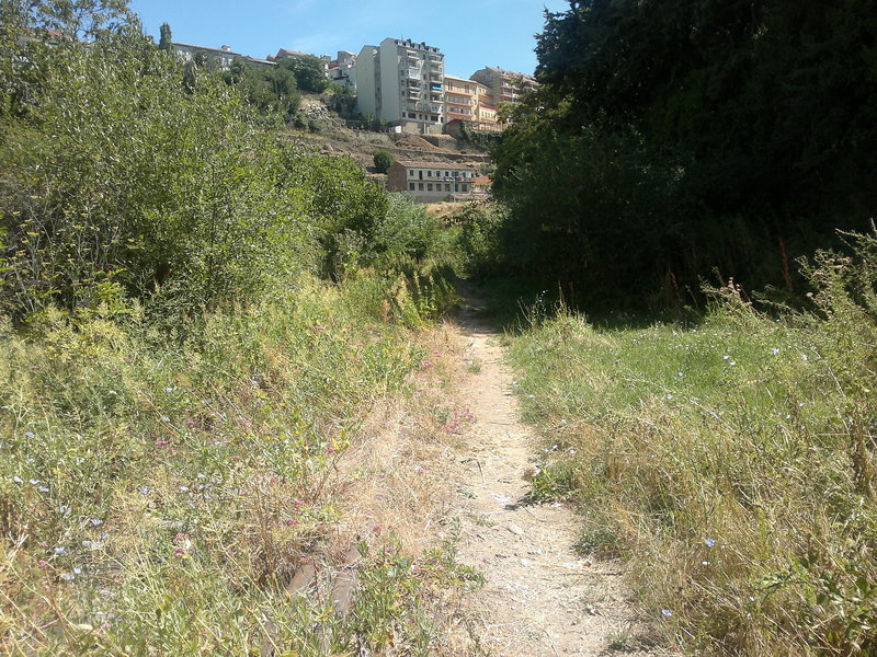 07082011275.jpg
