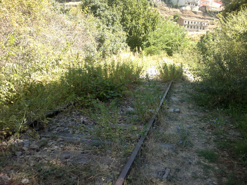 07082011276.jpg