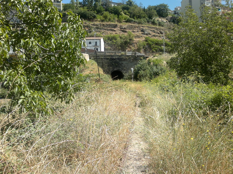 07082011277.jpg