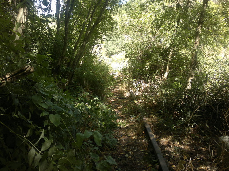 07082011288.jpg