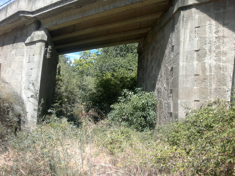 07082011299.jpg