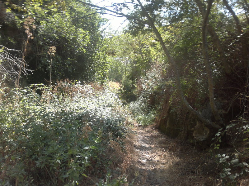 07082011300.jpg