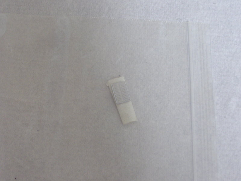 P8141723.JPG