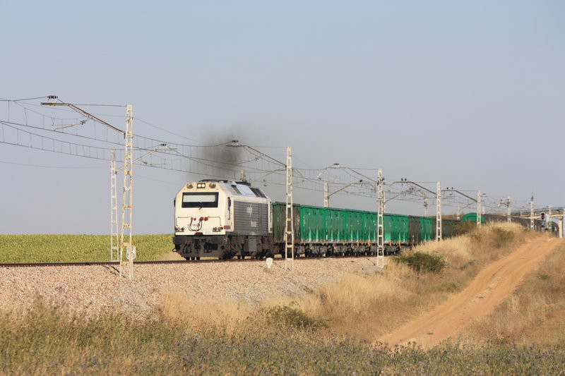 DIMG_9958.JPG