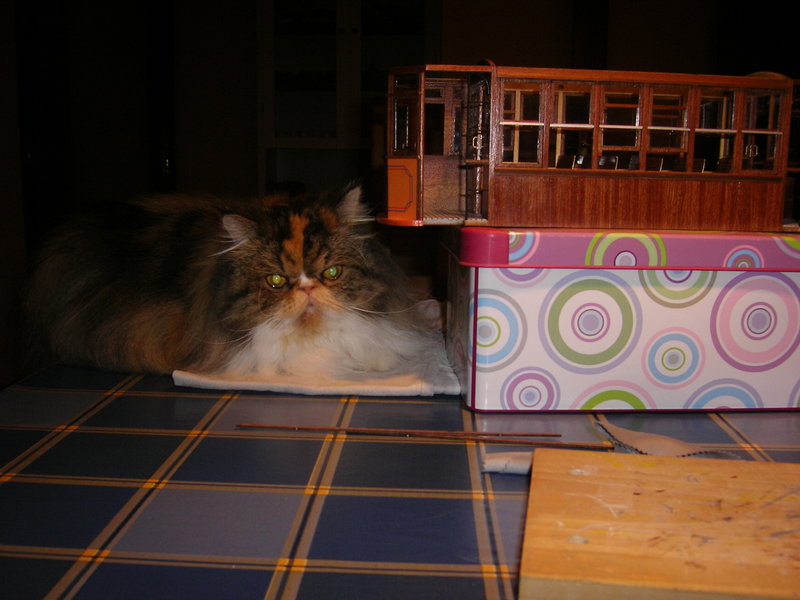 100_1313.JPG