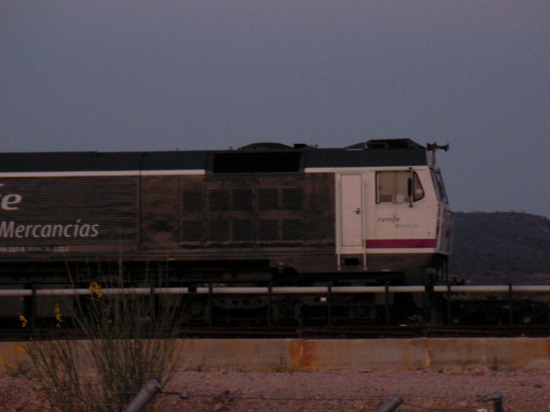SANY0236.JPG