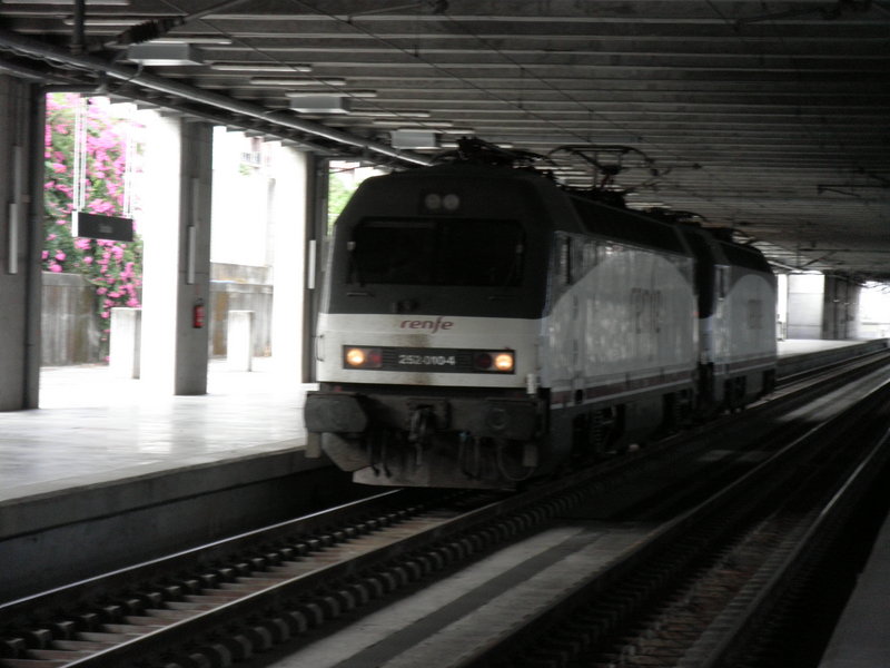 P8020100.JPG