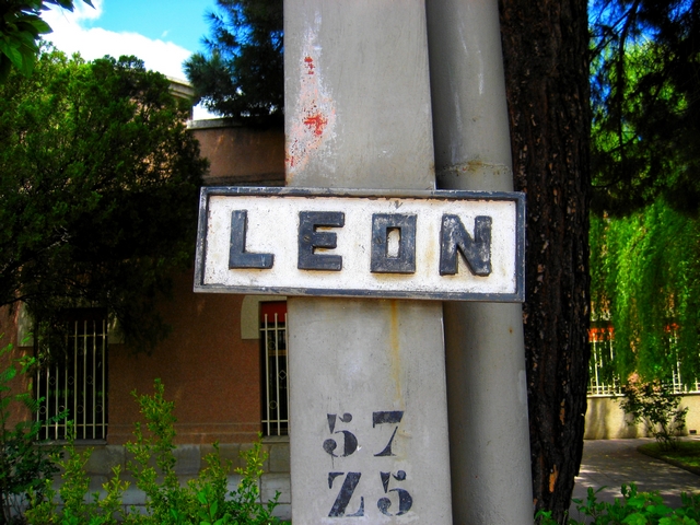 050.jpg
