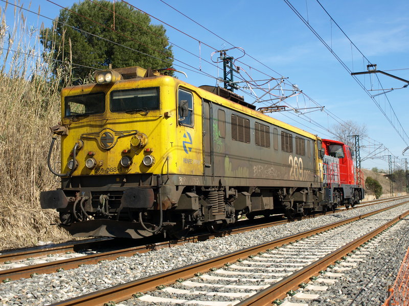295.JPG