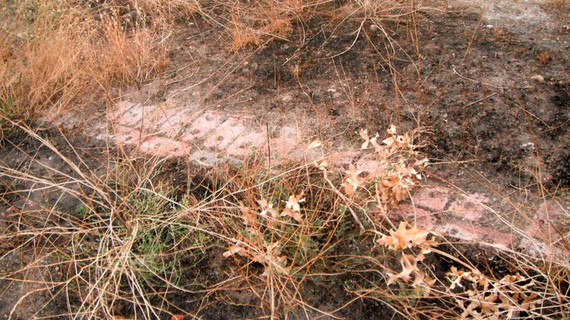 DSCF0861.jpg