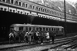 aureliograsa.gif