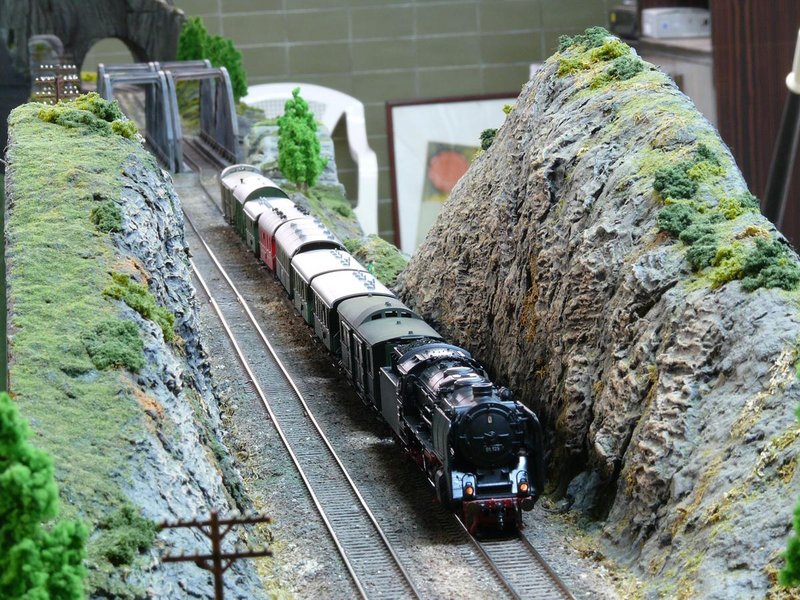 2011 07 31 BR 01 Roco drg corto (85).jpg