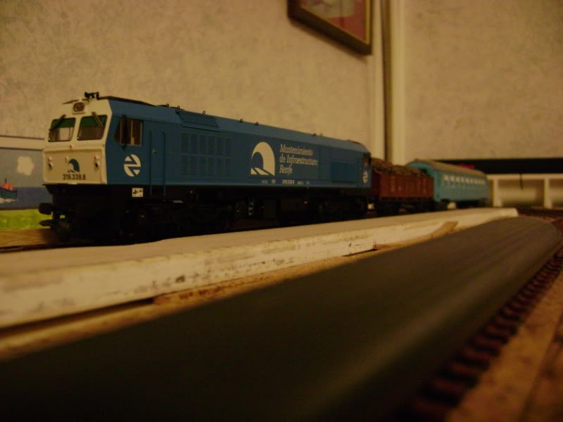 DSC03145.jpg