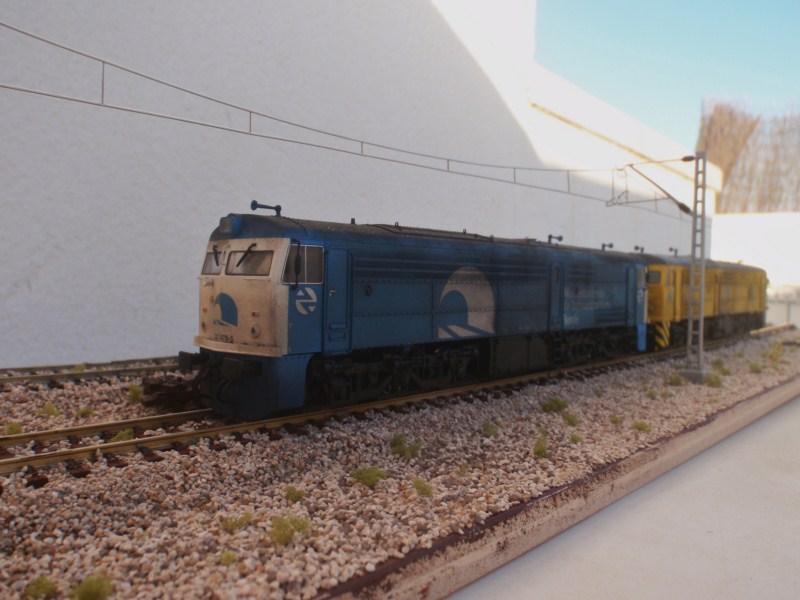 P7050113.JPG