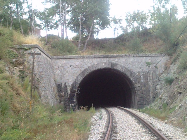 P030911_14.310001.JPG
