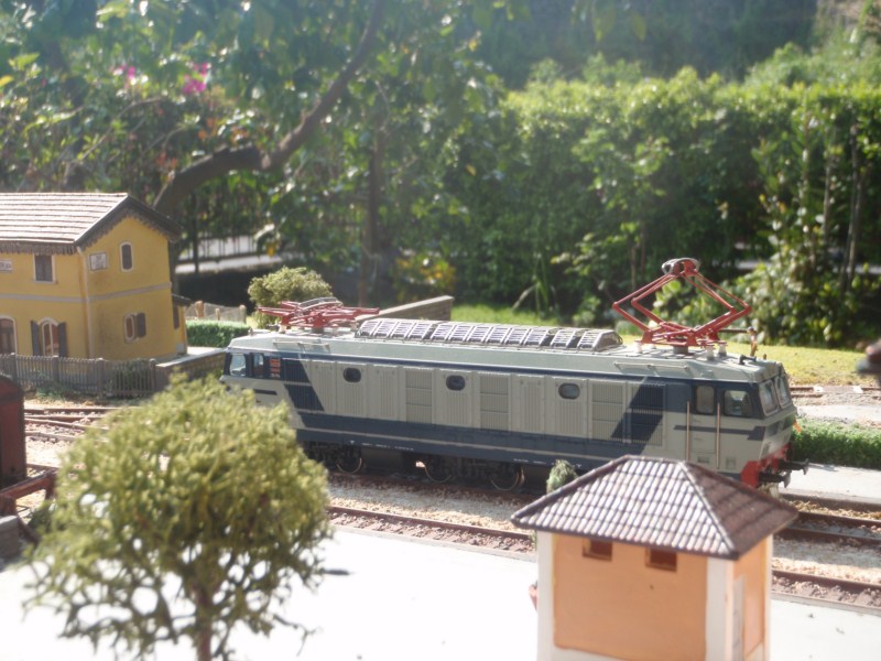 P4193817.JPG