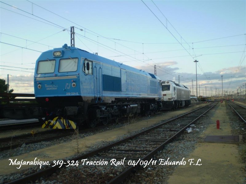 P1010147 (Large).JPG