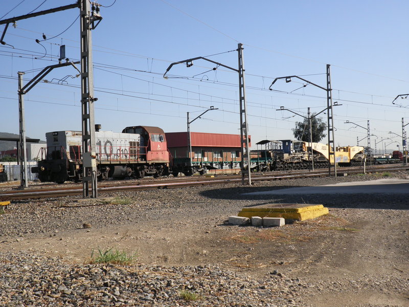 P9050916.JPG