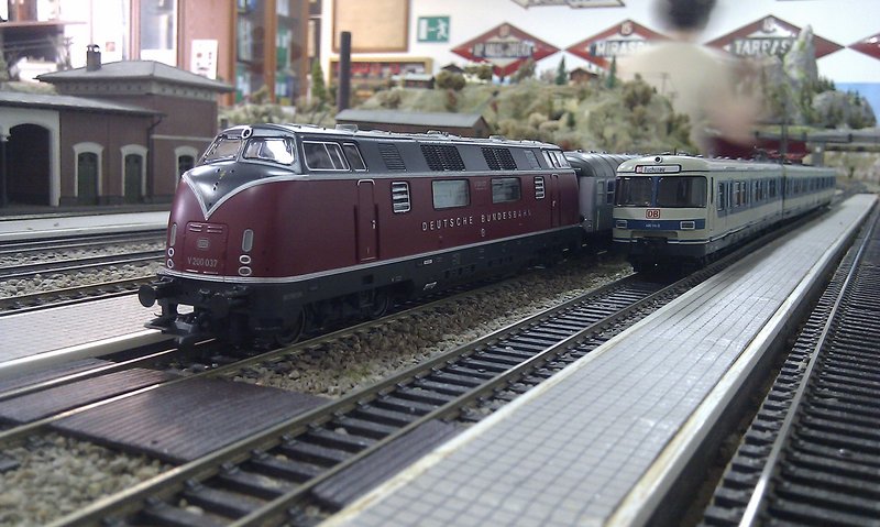 IMAG0234.jpg