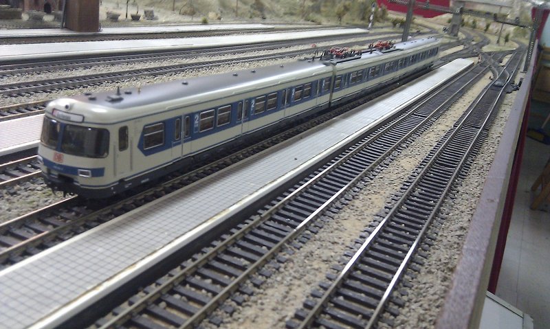 IMAG0241.jpg
