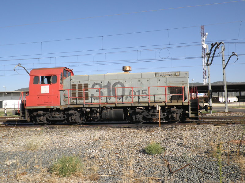 P9050917.JPG