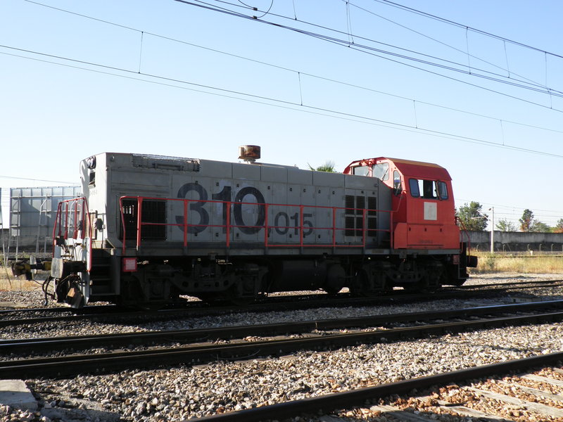 P9050920.JPG