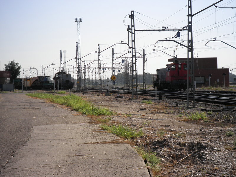 P9050921.JPG