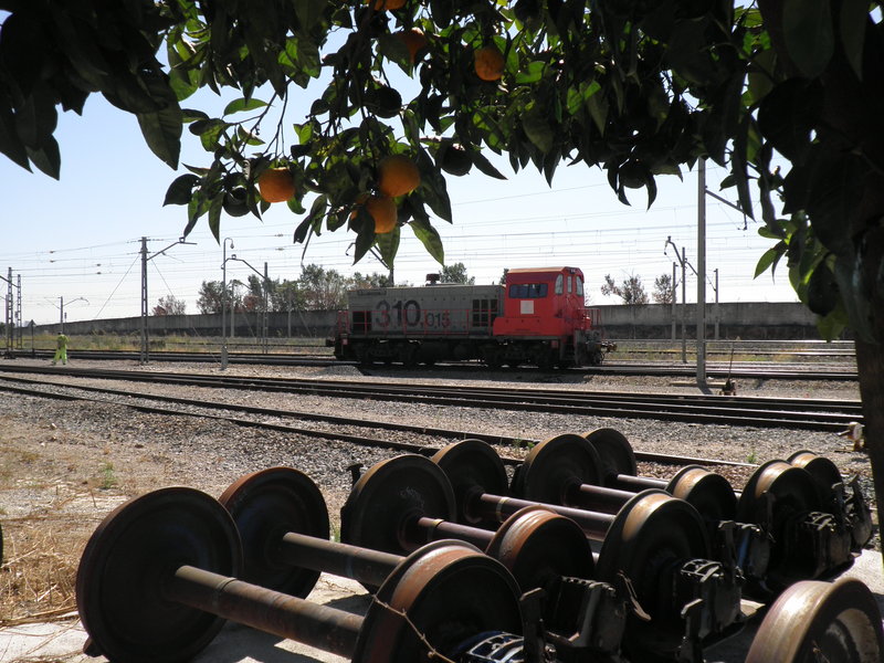 P9091015.JPG