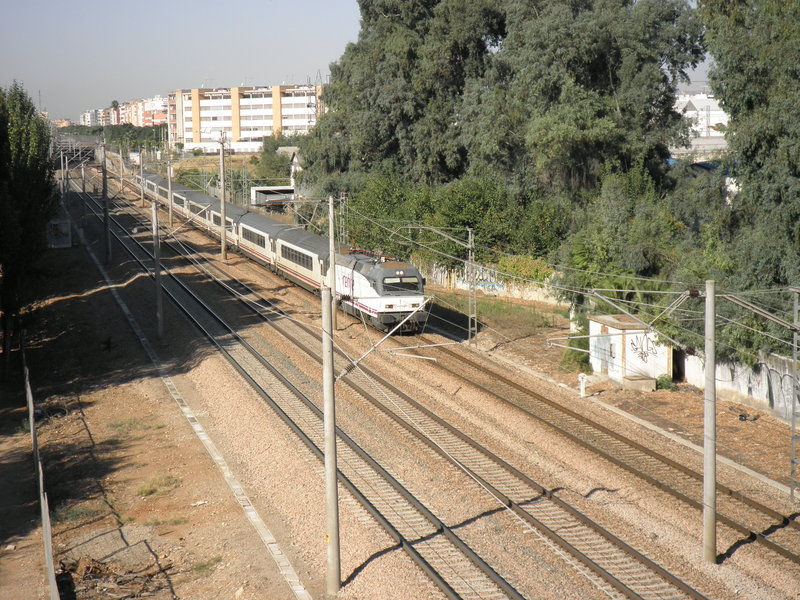 P9080964.JPG