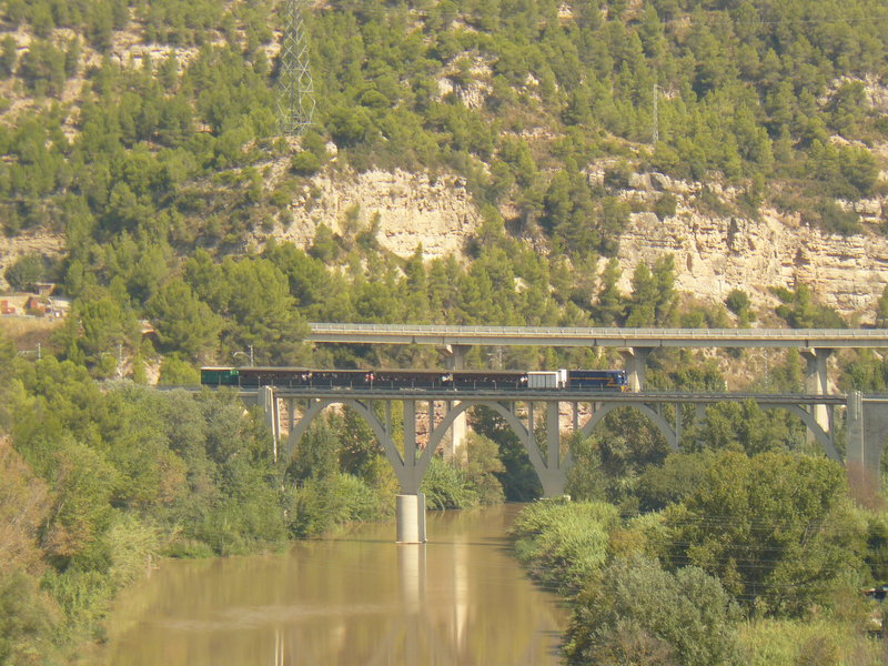 P1070589.JPG