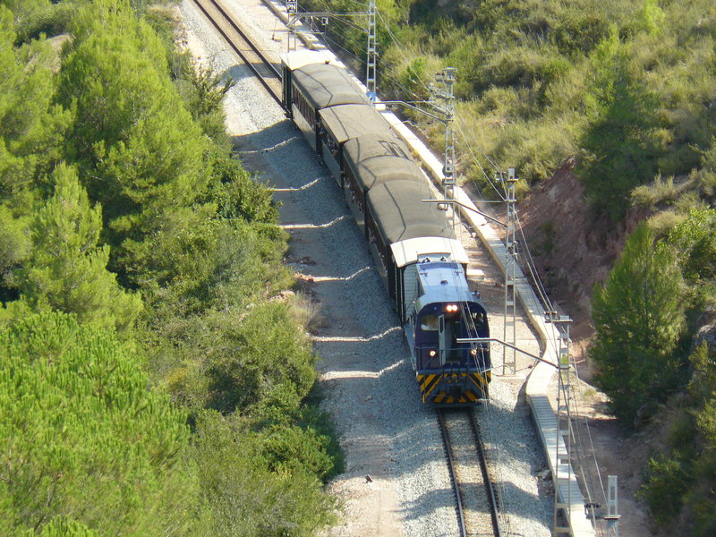 P1070592.JPG